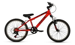 Bicicleta  20 Roldic Maxxi